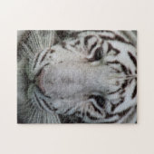 Witte tijger legpuzzel (Horizontaal)