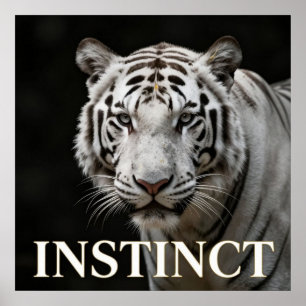 Witte Tijger Luxe Mode Poster