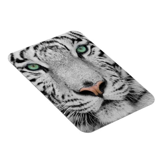 Witte tijger magneet (Rechterzijde)