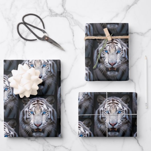 Witte Tijger met Blauwe Ogen Inpakpapier Vel (Voorkant)