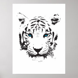 Witte tijger met blauwe ogen poster