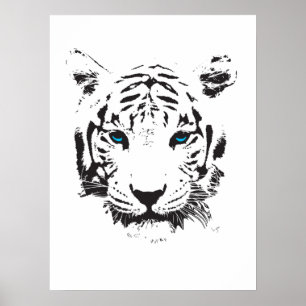 Witte tijger met blauwe ogen poster