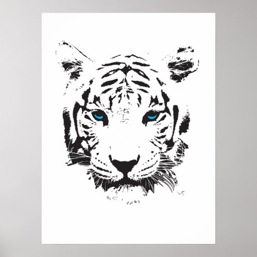 Witte tijger met blauwe ogen poster (Voorkant)