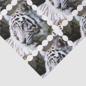 Witte tijger met zoete gezichten tissuepapier (Detail)