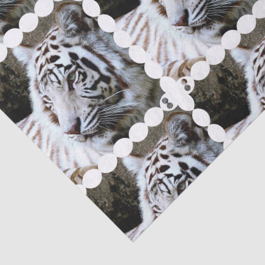 Witte tijger met zoete gezichten tissuepapier (Detail)