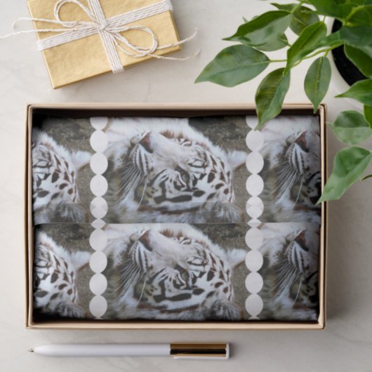 Witte tijger met zoete gezichten tissuepapier (Geschenk)