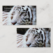 Witte tijger met zoete gezichten visitekaartje (Voorkant / Achterkant)