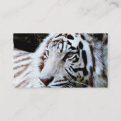 Witte tijger met zoete gezichten visitekaartje (Achterkant)