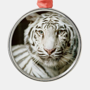 Witte tijger metalen ornament