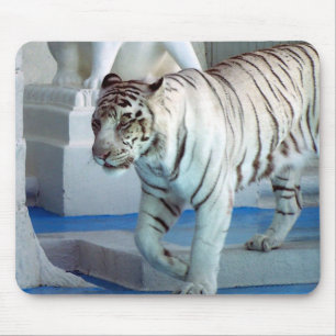 Witte tijger muismat