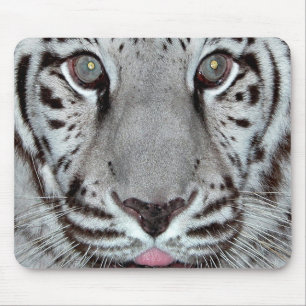 Witte tijger muismat
