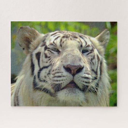 Witte Tijger Omhoog Dichtbij #2 Legpuzzel (Horizontaal)