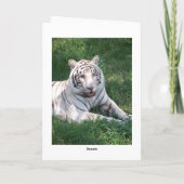 Witte tijger op groen lijst afbeelding kaart (Achterkant)