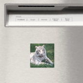 Witte tijger op groen lijst afbeelding magneet (Insitu (Vaatwasser))