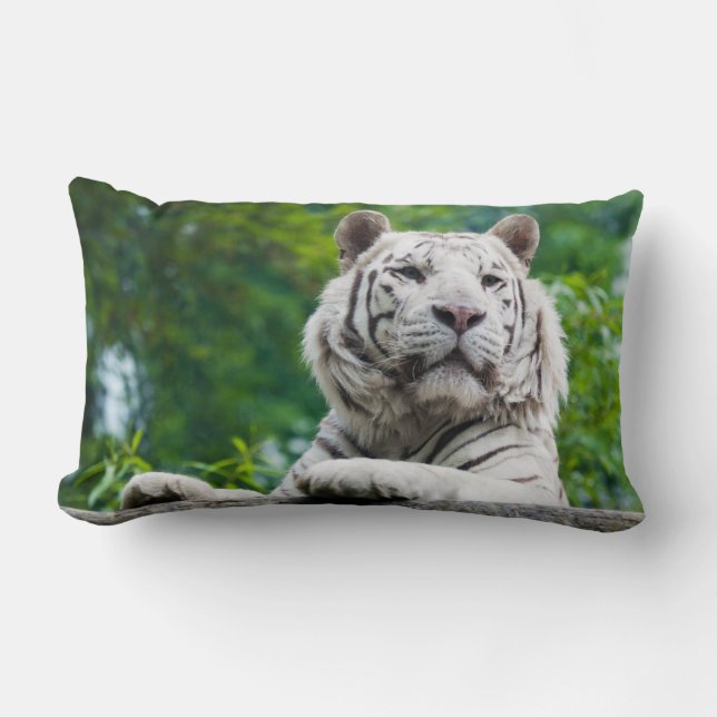 Witte tijger, op maat geworpen kussen (Voorkant)