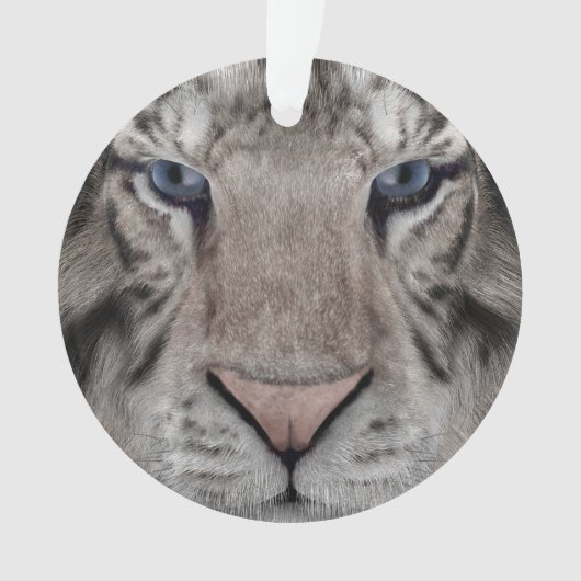 Witte Tijger Ornament (voorkant)