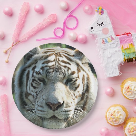 Witte tijger papieren bordje (Feest)