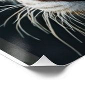 Witte tijger perfect poster (Hoek)