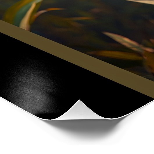 Witte tijger perfect poster (Hoek)