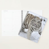Witte tijger planner (Display)