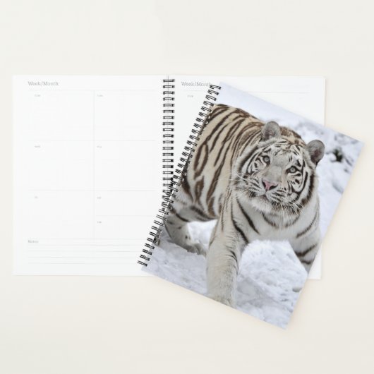 Witte tijger planner (Display)