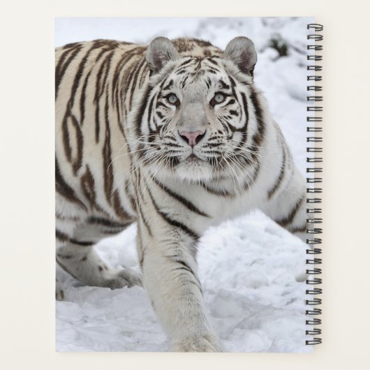 Witte tijger planner (Achterkant)