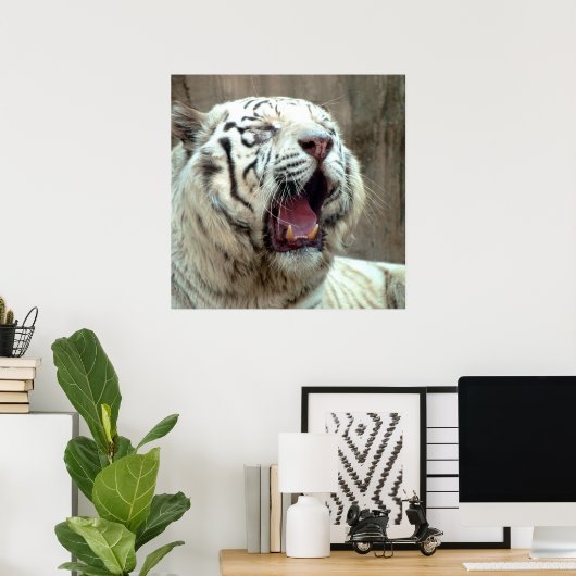 Witte tijger poster (Thuiskantoor)
