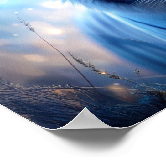 Witte tijger poster (Hoek)