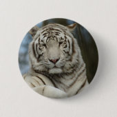 Witte tijger ronde button 5,7 cm (Voorkant)