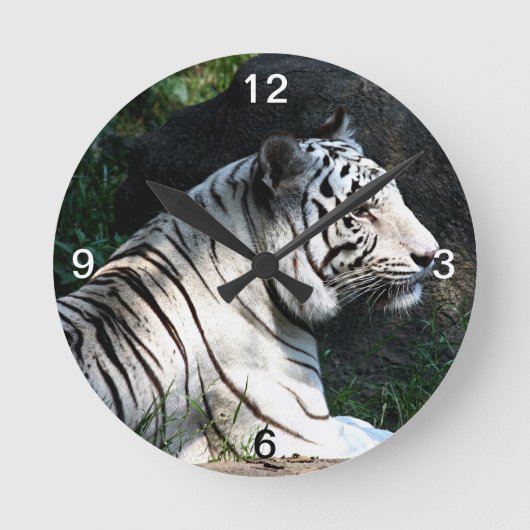 Witte tijger ronde klok (Voorkant)