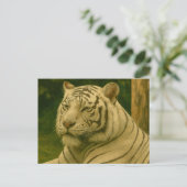 Witte tijger rust in bosrijke schaduw briefkaart (Staand voorkant)