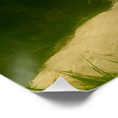 Witte tijger rust in bosrijke schaduw perfect poster (Hoek)