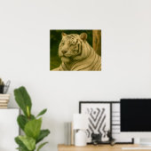 Witte tijger rust in bosrijke schaduw poster (Thuiskantoor)