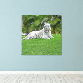 Witte Tijger Rustend in een Stille Groene Weide Canvas Afdruk (Insitu (Houten vloer))