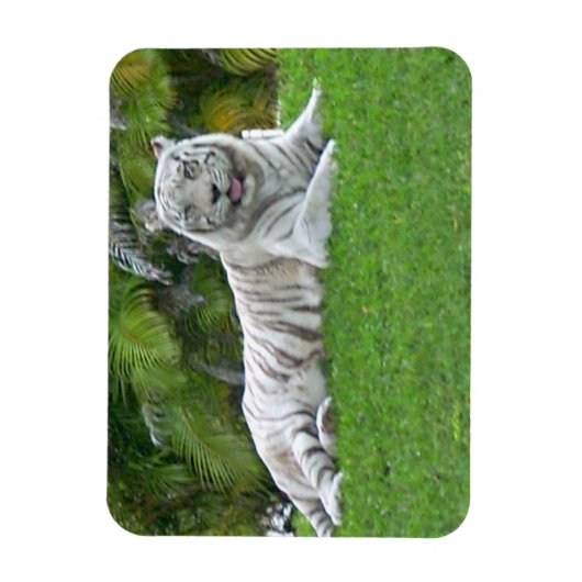 Witte Tijger Rustend in Felgroene Weide Magneet (Verticaal)