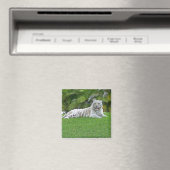 Witte Tijger Rustend in Zonovergoten Groen Gras Magneet (Insitu (Vaatwasser))