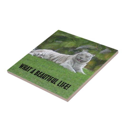 Witte Tijger Rustend Onder Warm Weiland Licht Tegeltje (Zijkant)