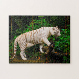 Witte Tijger Singapore. Legpuzzel