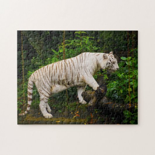 Witte Tijger Singapore. Legpuzzel (Horizontaal)