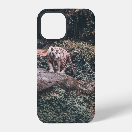 WITTE TIJGER STAANDE OP GRIJZE STEEN iPhone HOESJE (Achterkant)