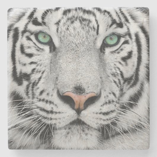 Witte tijger stenen onderzetter (Voorkant)
