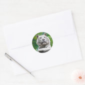 Witte tijger stickers (Envelop)