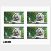 Witte tijger stickers (Vel)