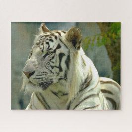 Witte tijger van dichtbij legpuzzel