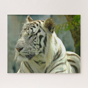 Witte tijger van dichtbij legpuzzel