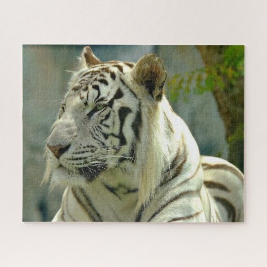 Witte tijger van dichtbij legpuzzel (Horizontaal)