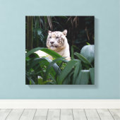 Witte tijger verpakt canvas afdruk (Insitu (Houten vloer))