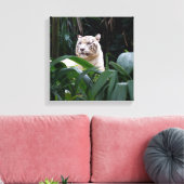 Witte tijger verpakt canvas afdruk (Insitu (Woonkamer))