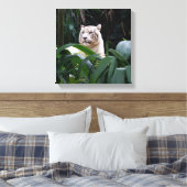 Witte tijger verpakt canvas afdruk (Insitu (Slaapkamer))