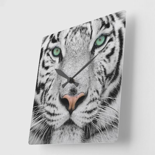 Witte tijger vierkante klok (Hoek)
